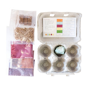 Egg Coloring and Grass Growing Kit